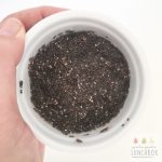 A Chia Egg Replacement is easy to make and a great substitute for egg in a lot of baking recipes.
