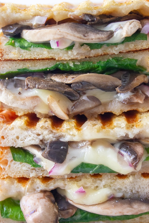 close up shot of mushroom spinach toasted sandwiches