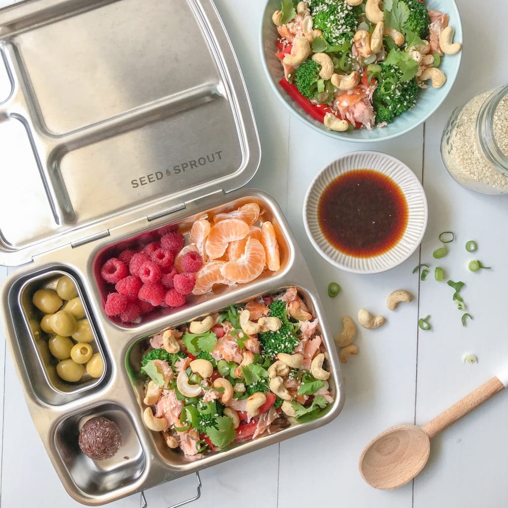 Hot Smoked Salmon And Broccoli Rice Salad - Goodie Goodie Lunchbox
