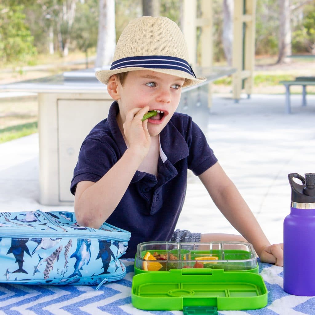 picture of a child with his packed lunch 