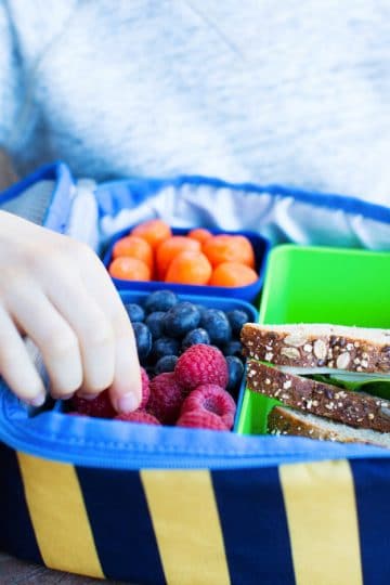 Packing Lunchboxes for Picky Eaters
