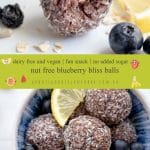 Nut Free Blueberry Bliss Bites